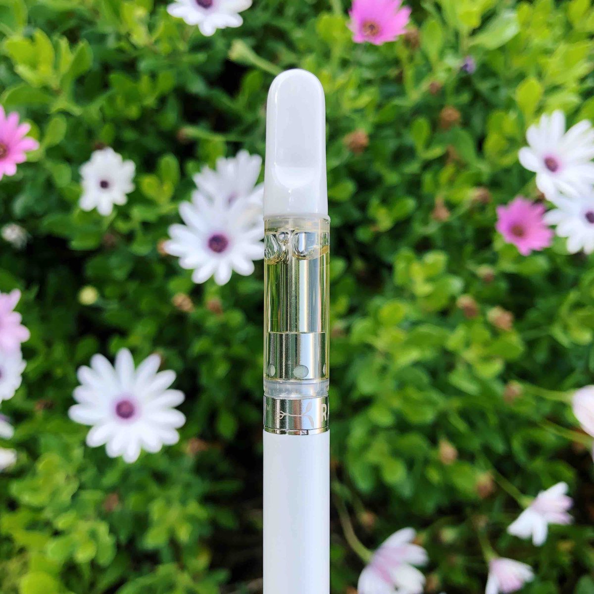 Fresh blooms, fresh adventures. 🌸🏔️ Our Ready-to-Use is bigger and better! Don’t forget you can unscrew and recharge the battery for multiple uses. 🌱 Charger included! ✅

#readytouse #rechargeandreuse