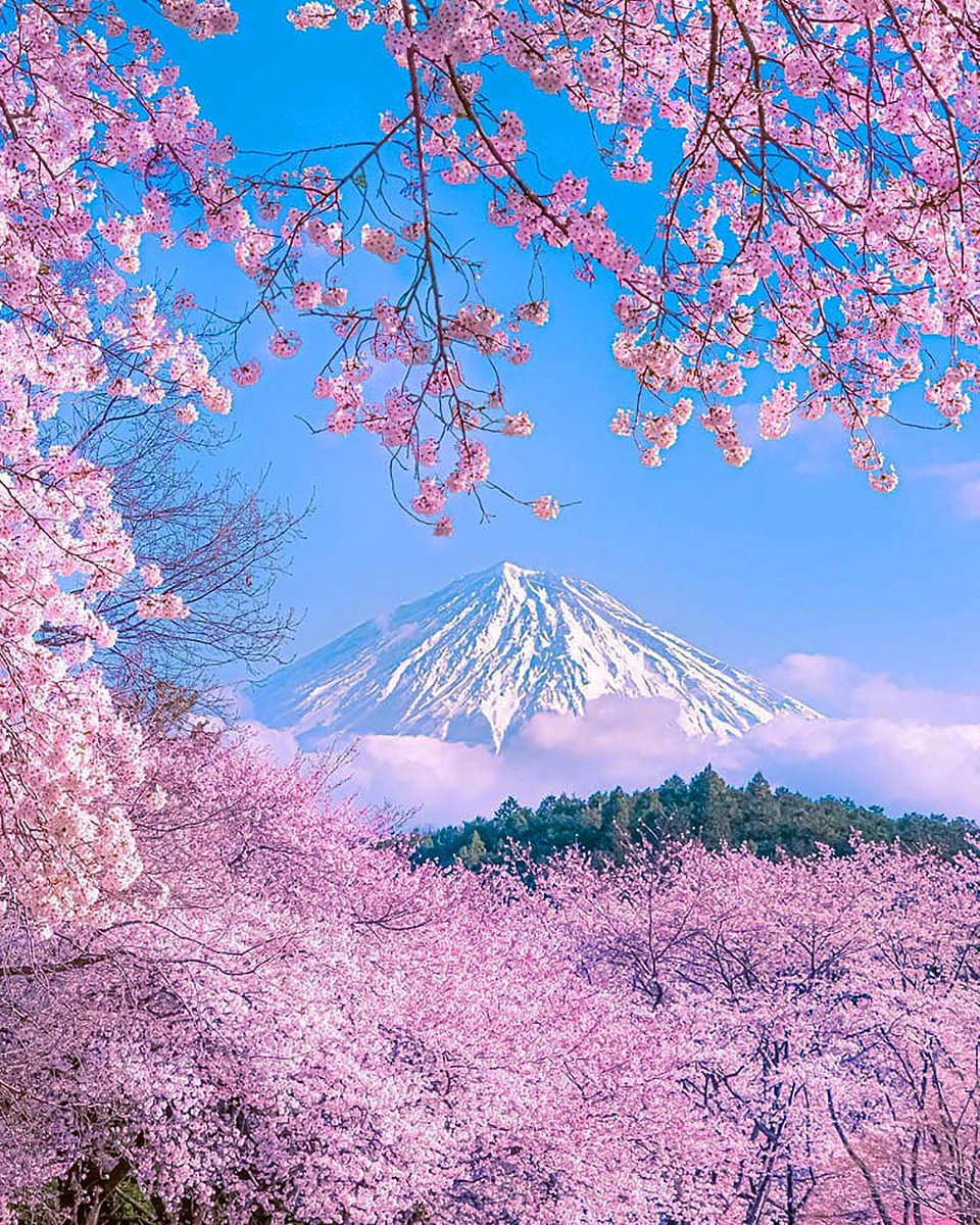 Mount Fuji, Japan 🇯🇵