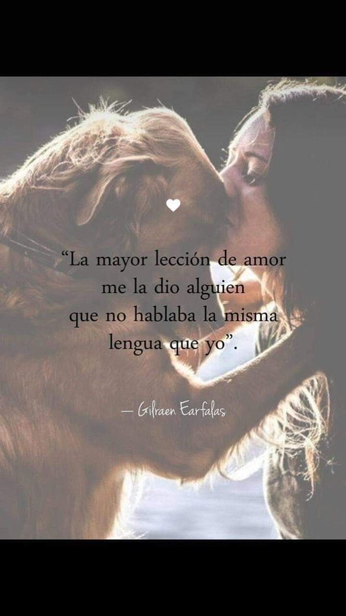 Y si ... No necesitan hablar para ser maestros de vida ... 🕉🐾