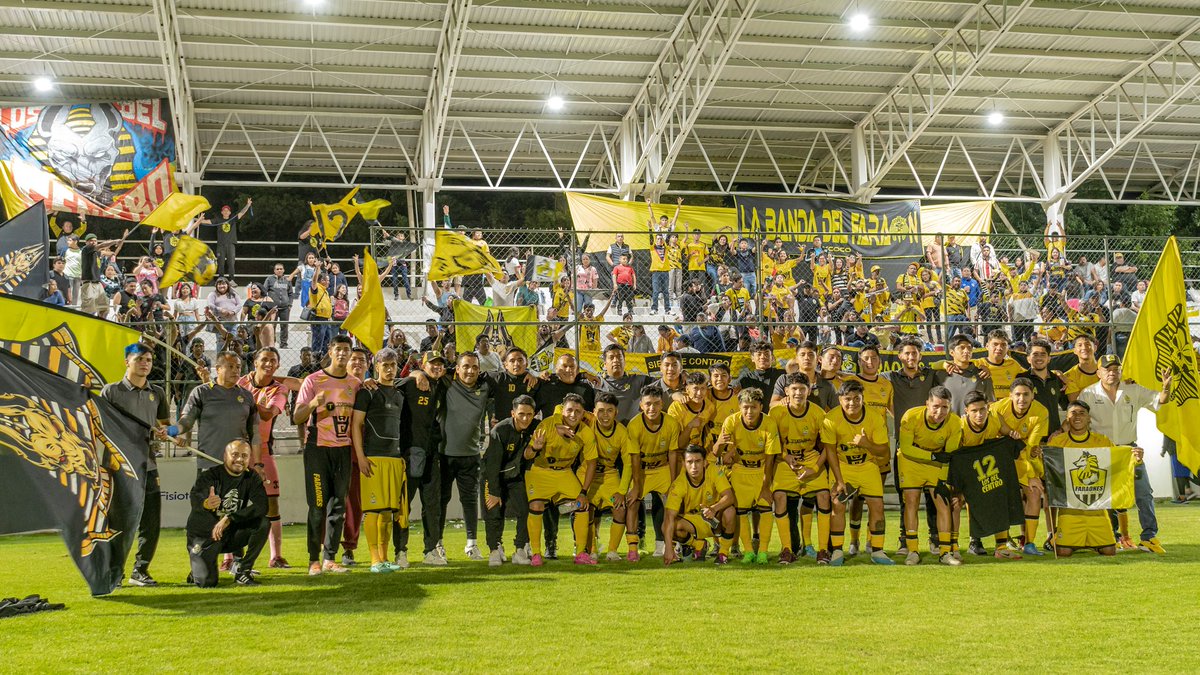 Liga TDP tweet media