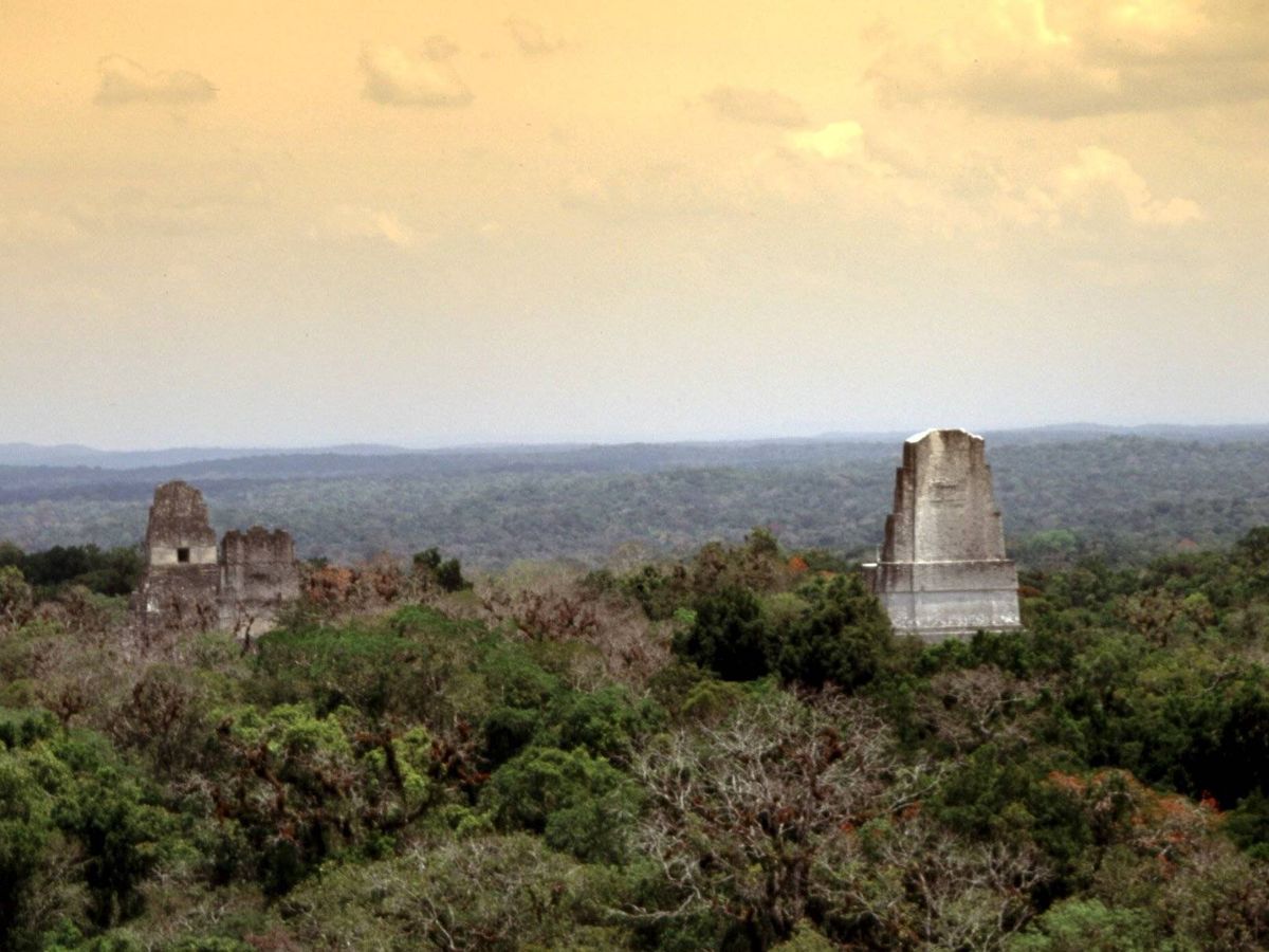 El Templo del Gran #Jaguar de #Tikal es una elevadísima construcción de 47 metros de altura. Fue construido hacia el año 734 como sepulcro de Jasaw Chan K´awiil I, importante rey de Tikal que logró grandes victorias militares, particularmente en contra de #Calakmul
#arqueologia