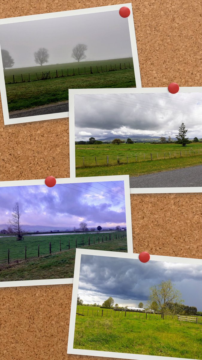Ngahinapouri Aotearoa NZ  in my part of the Waikato 
Broody cloud country