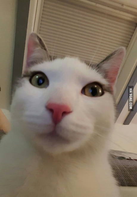 default_door's tweet image. HAHAHA HACKED!!! You left yourself logged in , on my pc. -Liam