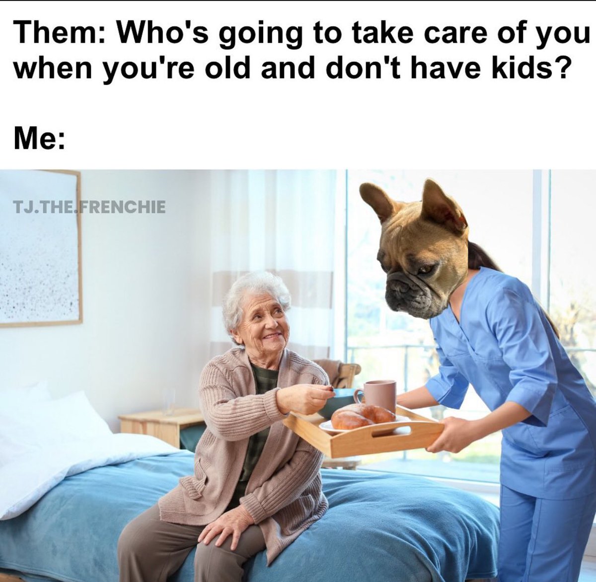 NoAssMcGee 🐶💙🌈🏳️🌈 tweet media