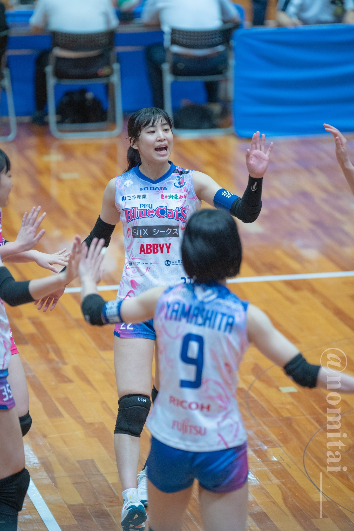 PFUブルーキャッツ 川添美優 オールスター オーセンティックユニフォーム XO GODwIQwaoAA6cPB.jpg:large