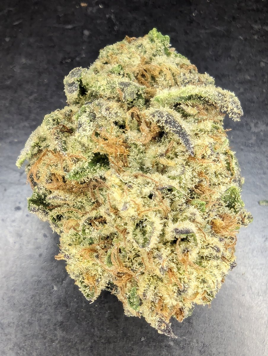 First time with this strain! And it's beautiful! Truffle Milk: THC: 20% Terps: 2.1% #420community #JoinTheSesh 💨💨😶‍🌫️