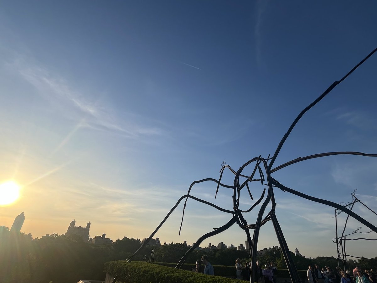 Love the rooftop sculptures at ⁦@metmuseum⁩ this year.