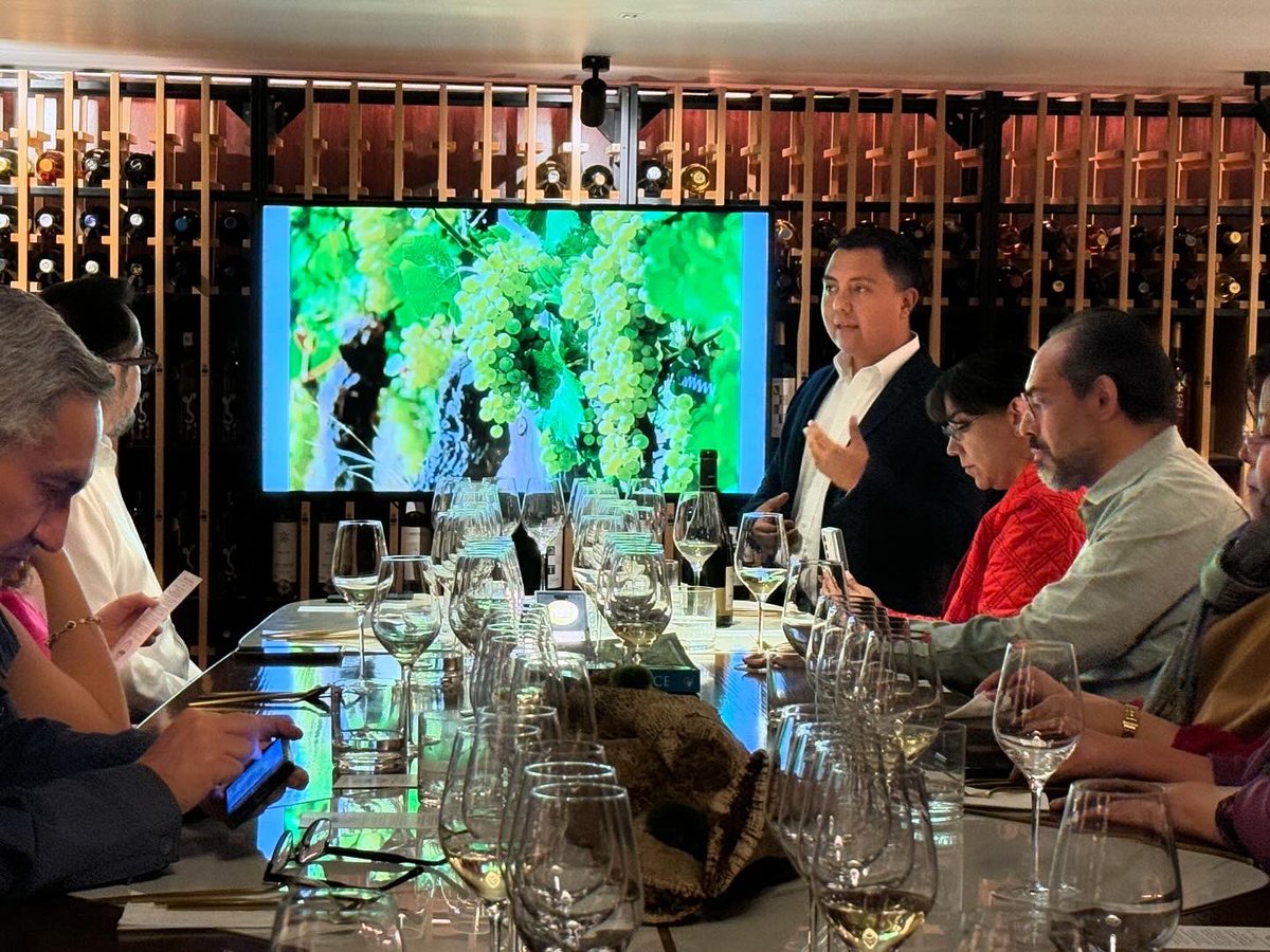 Wine Bar by CMB tweet media