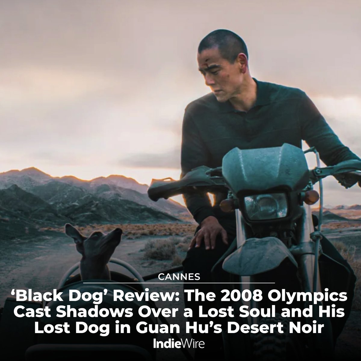 #Cannes: Eddie Peng stars as a social outcast who bonds with an allegedly rabid dog in a pulpy redemption story set in the desert outskirts of Beijing. Read our interview for 'Black Dog' here: trib.al/CAQEs7N