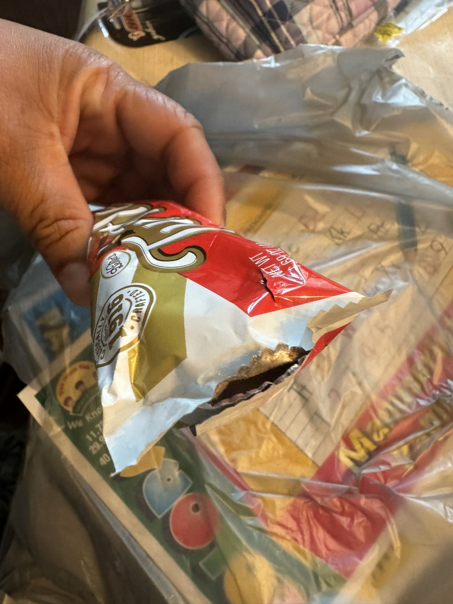 tyla_paulette's tweet photo. @DollarTree count your days !  I got home and unpacked my bag from my dollar tree haul and my turtles was open ! https://t.co/JL6ObnSb28