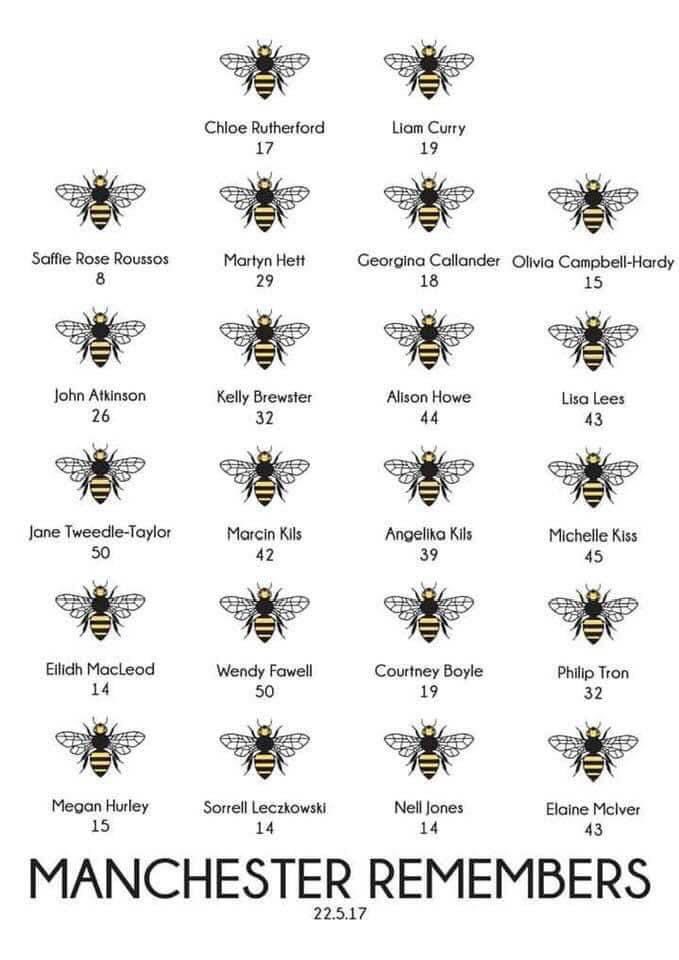 For those of you who don’t know tomorrow is 7th anniversary since Manchester Arena Attack. Please wear pink and blue and raise a glass or light a candle at 22:31. Keep Chloe, Liam and the other 20 victims in your hearts and in your mind.
🐝💗💙 
The bees still buzz
My girl always