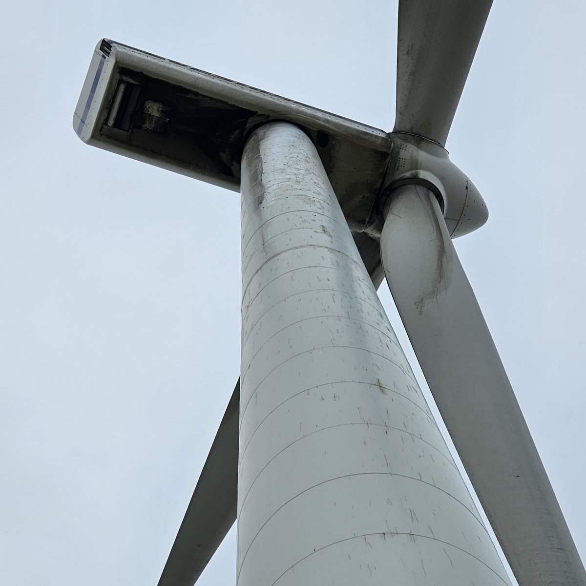 Went for a drive yesterday on some backroads west of town.
As we drove through a windfarm, I noticed most of the turbines dirty from the top towards the bottom.
Stopped and took a closer look. Hydraulic oil and gear oil leaking all over these units! 
This particular wind farm