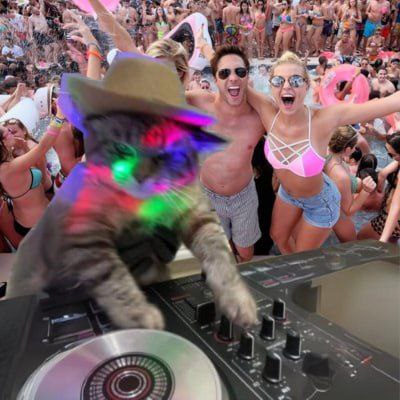 r_bec91's tweet photo. @fuckdegenn @MikeyTrading @cto_djcat Solana summer about to begin with $djcat #partyneverstops πΈπͺ©πΈπͺ© https://t.co/pZr9H9Qp8D