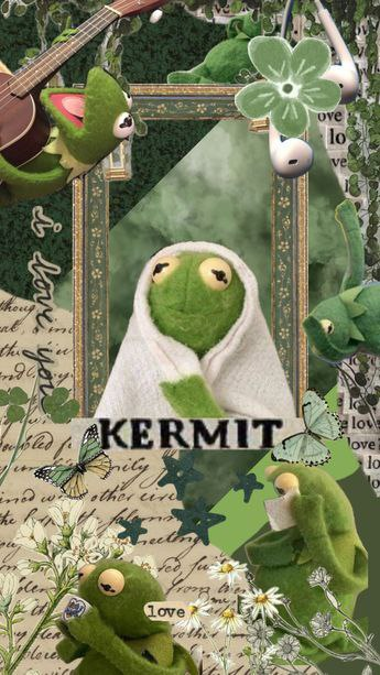 Kermit tweet media