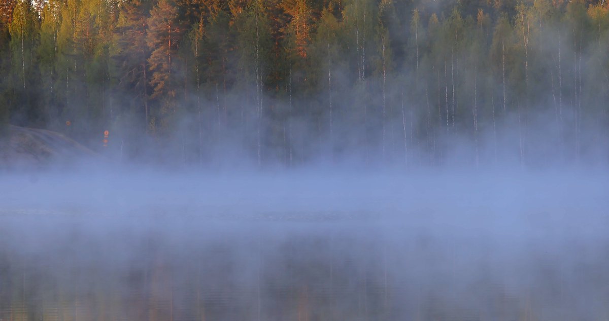 Metsänreunantie. Siellä oli kerran otso. 
Se oli menossa silloin mustikkaan. 🙃