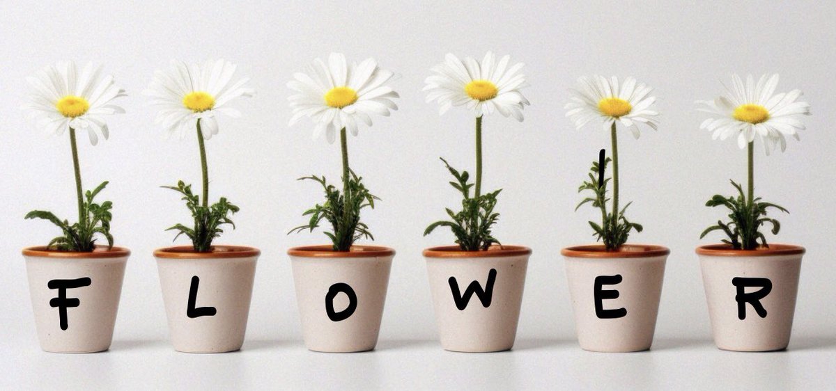 waiting six flowers
#인피니트 FOREVER #INFINITE ^^