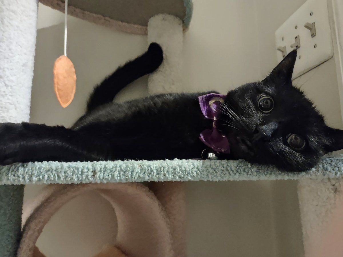 Eyes Big an Rounde as Sausers Asse Bich !!  yuo Dinnor Plate Eyed looken Creepey Gorl , yuo Eyes are like 2 of Black Hole oute in Outre Spase ! and yuor's Fase lookeng Smush'd up as Helle!!  Yu look like Hauntid Doll thate got throwed in the Trasch and show back up Misteeriosly!!