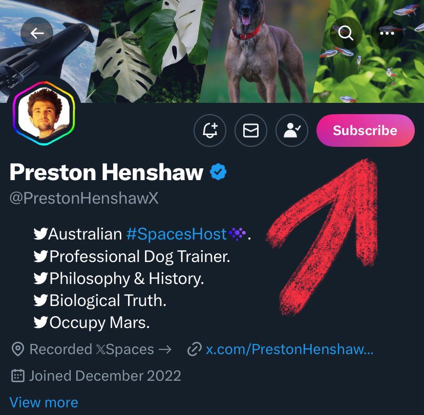 You can now subscribe to me!

Every single dollar from subscribers will go towards improving the life of animals and keeping dogs in happy homes.

I’ll work with subscribers to problem solve unwanted behaviours with their dog, as well as post exclusive in depth dog training