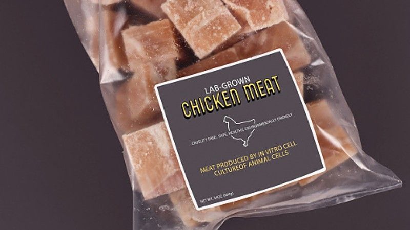 Experts clash over GOOD Meat’s 3% cultivated chicken launch in Singapore #Singapore #cultivatedmeat #alternativeprotein buff.ly/3Kdm3Qp