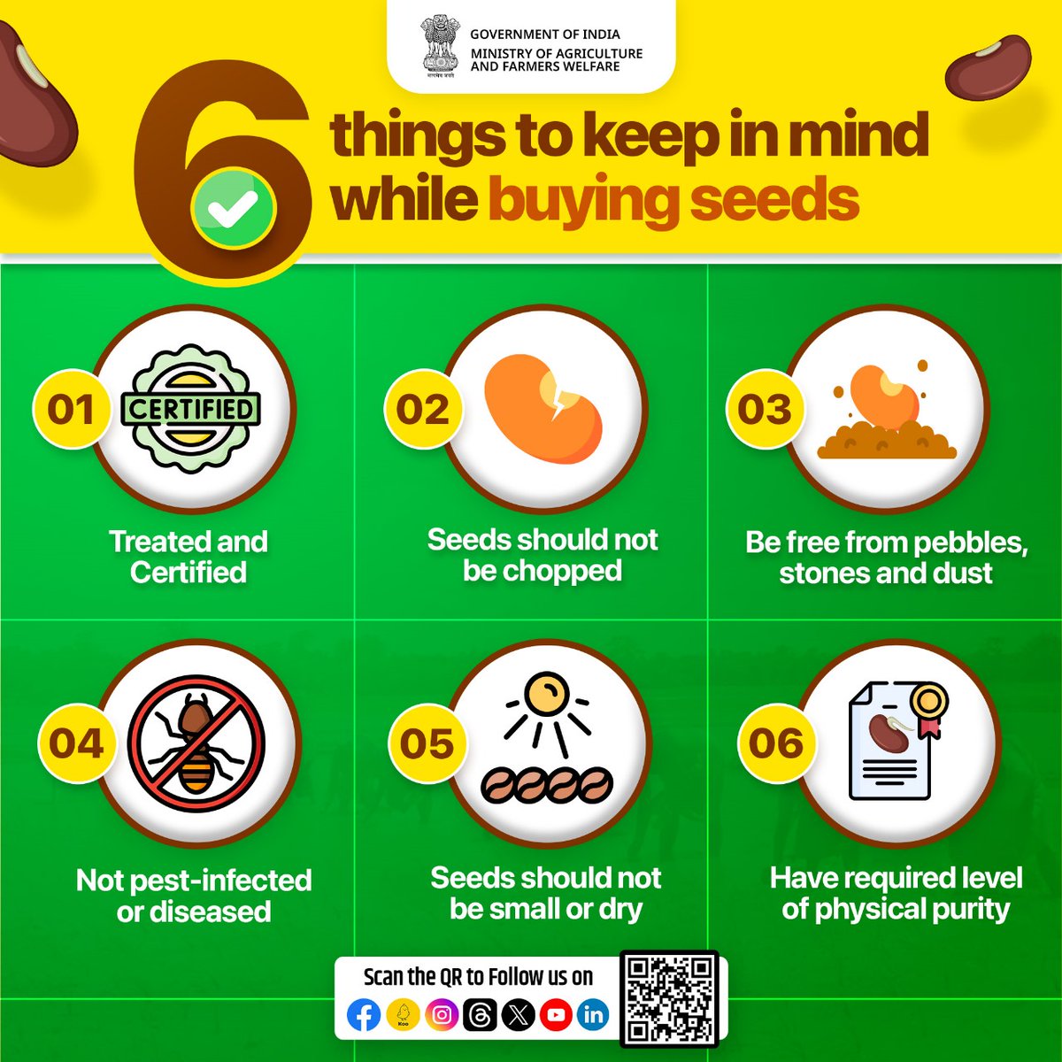 Healthy #Seeds are Key to Healthy #Crops!

Here are 6 things #farmers need to keep in mind while buying seeds as good quality & healthy seeds leads to healthy produce & thriving yields.

#agrigoi #seedsforthefuture #seedsofchange #ItAllStartsWithTheSeeds