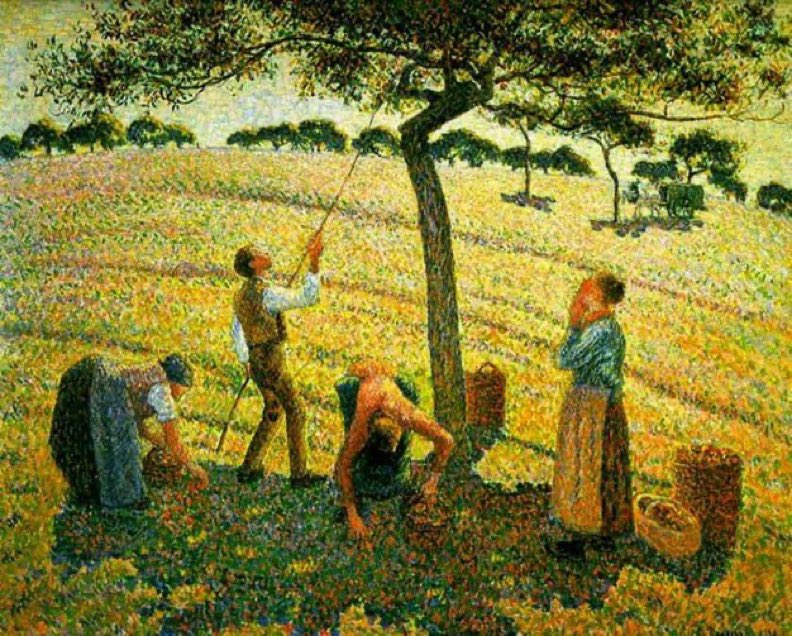 Cueillette de pommes à Éragny-sur-Epte
Camille #Pissarro (1888)
#peinture #pommes