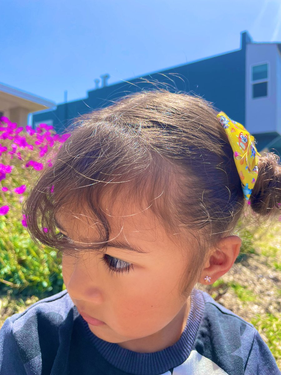 bangs x bluey 🦋✨