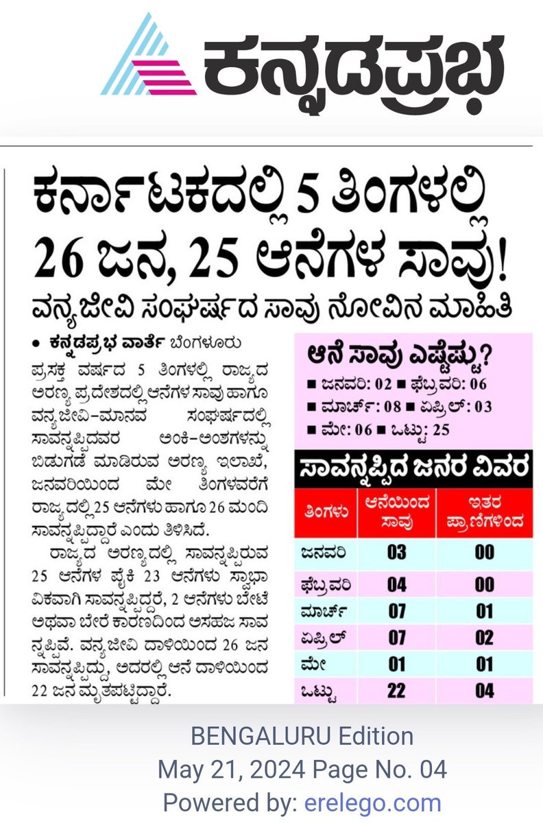 #mysuru #mysore #karnataka #eliphant #LatestNews