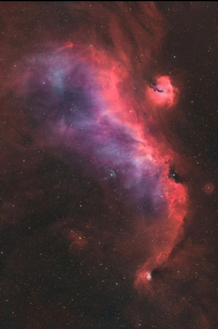 NGC 2335 The Seagull Nebula (padiac) - Resolución completa | AstroBin  astrobin.com/full/xu39nz/C/
