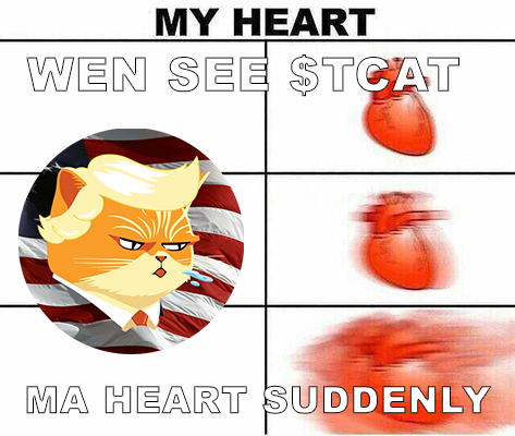 Trump Cat tweet media