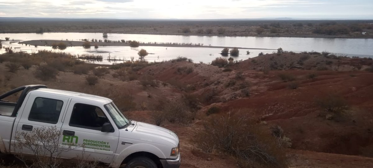 MesaDePesca's tweet photo. Los guardapescas de Naupa Huen siguen controlando en el Limay Medio. A pesar del frío, los pescadores eligen estar en el río. 

👉🏼 En los últimos días se labraron actas de infracción por el hallazgo de truchas muertas. 
#pescadeportiva 🎣 
@econprod_rn https://t.co/eukWKChqRD