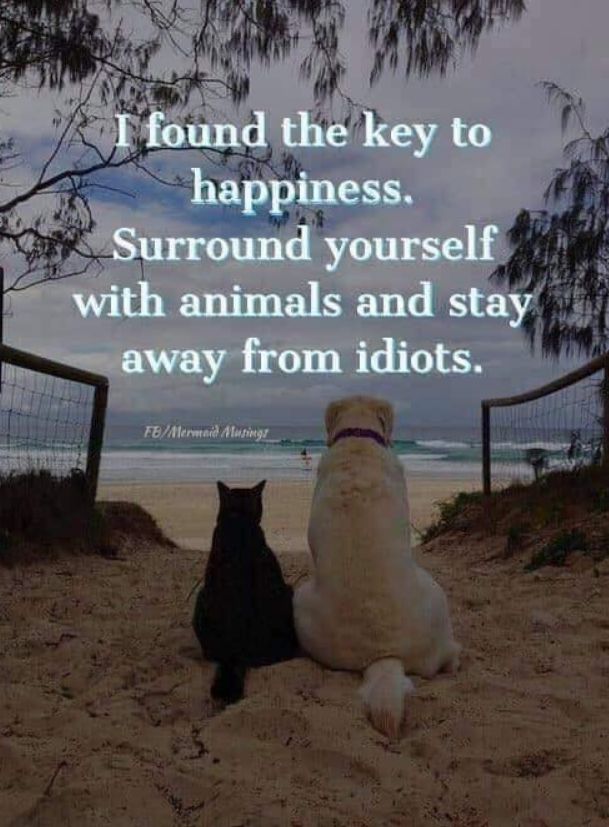 So true, animals are a man's best friend and a woman's best friend too.