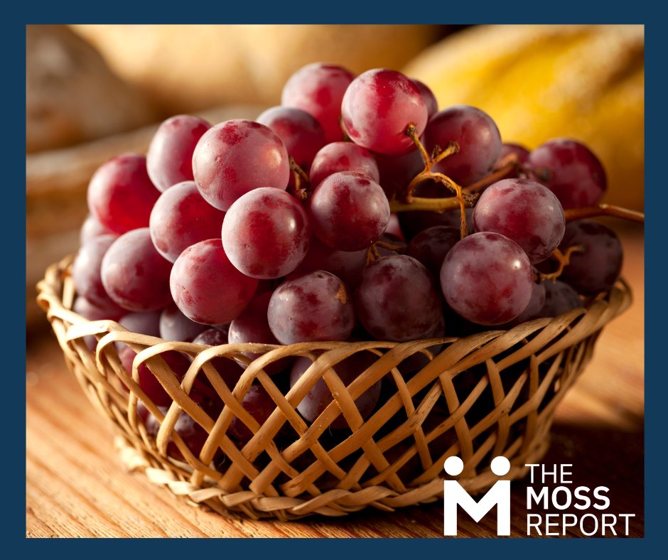 moss_report's tweet photo. Resveratrol--a powerful compound found in red grapes, berries, and certain nuts-- is renowned for its remarkable properties and disease prevention. Read the full article today: https://t.co/BVP1j6x6Fu https://t.co/R1IV6AQEO9