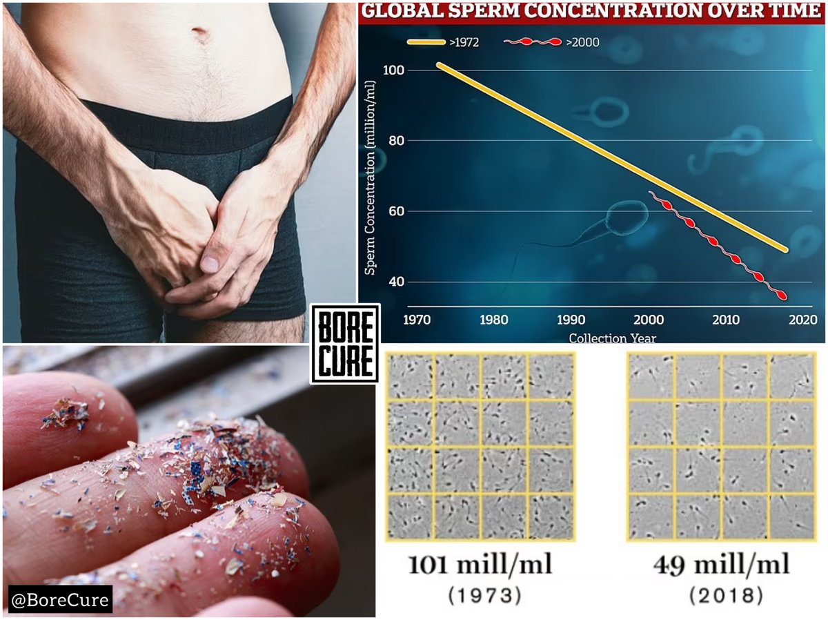 @MarioNawfal Context/Details:

Researchers from the University of New Mexico have made a disturbing discovery, finding microplastics in the testicles of all 23 human samples they studied. 

This study revealed 12 types of microplastics, with polyethylene—commonly found in plastic bags and