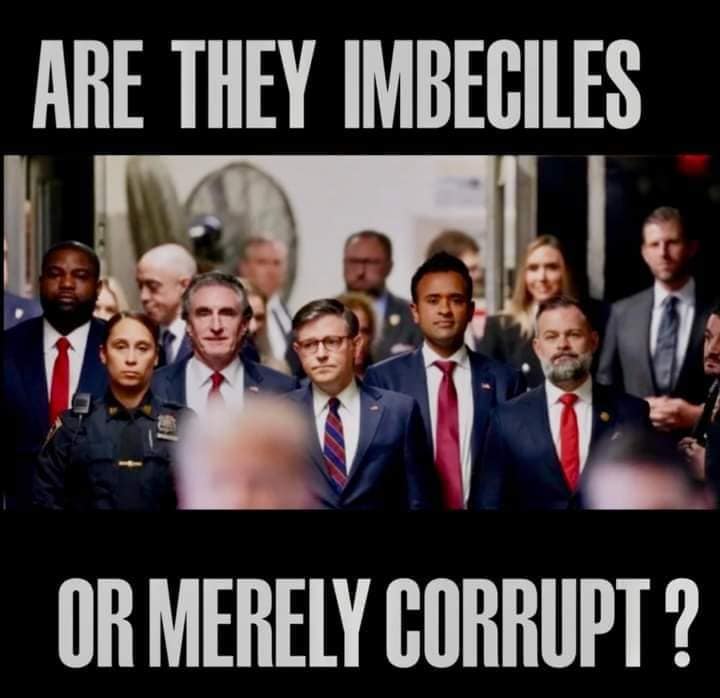 Poppy 💫🇦🇺☮🍅🥒🥕🥭🍊🍋 tweet media