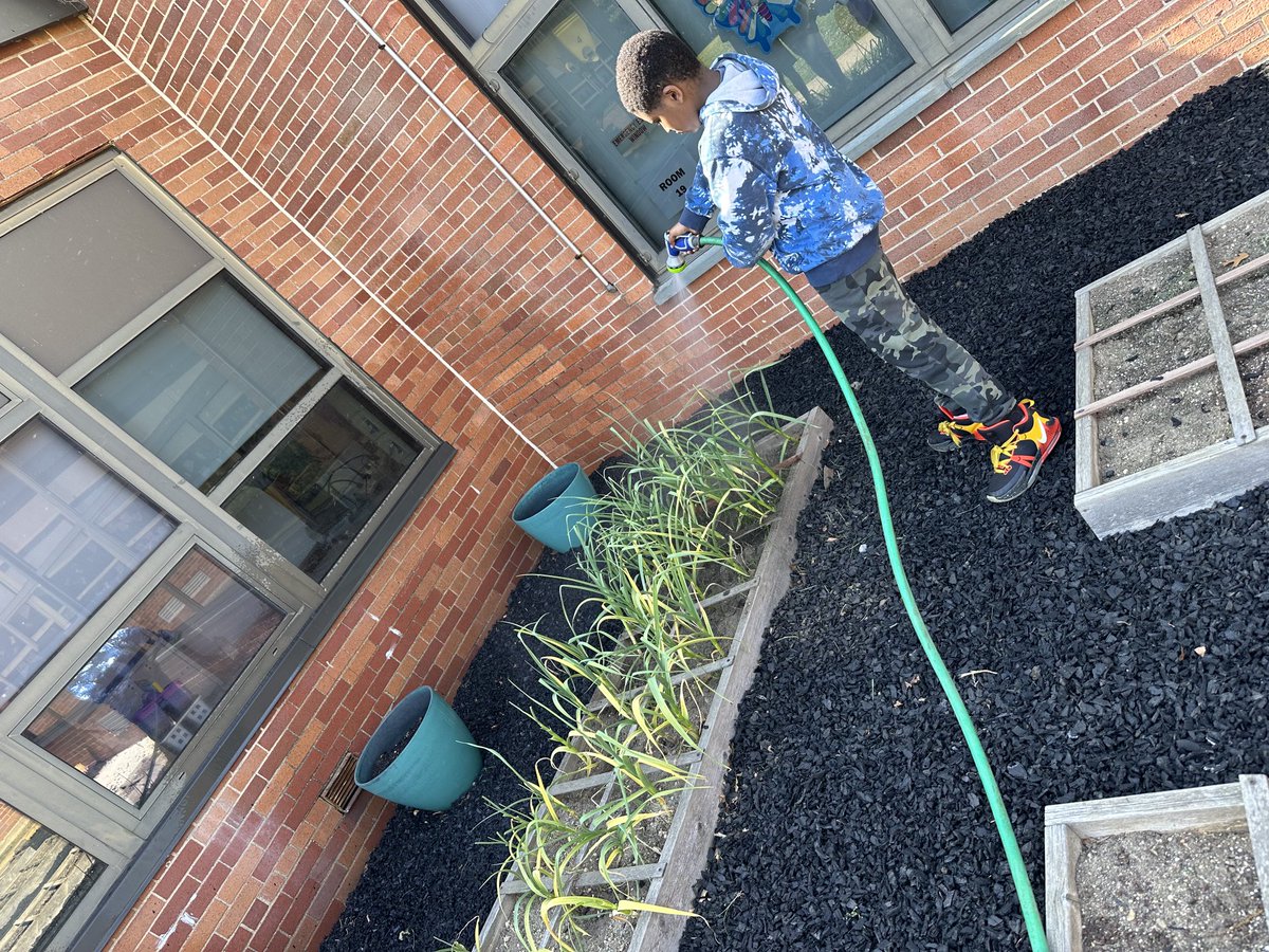 Watering our plants! Parsley planted today and garlic that is thriving! We’re still waiting for some activity with our tomatoes and carrots 🍅🥕👩‍🌾 #happeningathowell ⁦<a href="/PEBarnick/">Paula Barnick</a>⁩