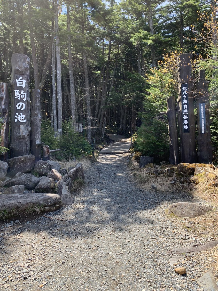 今年もここから行って来ます🥖