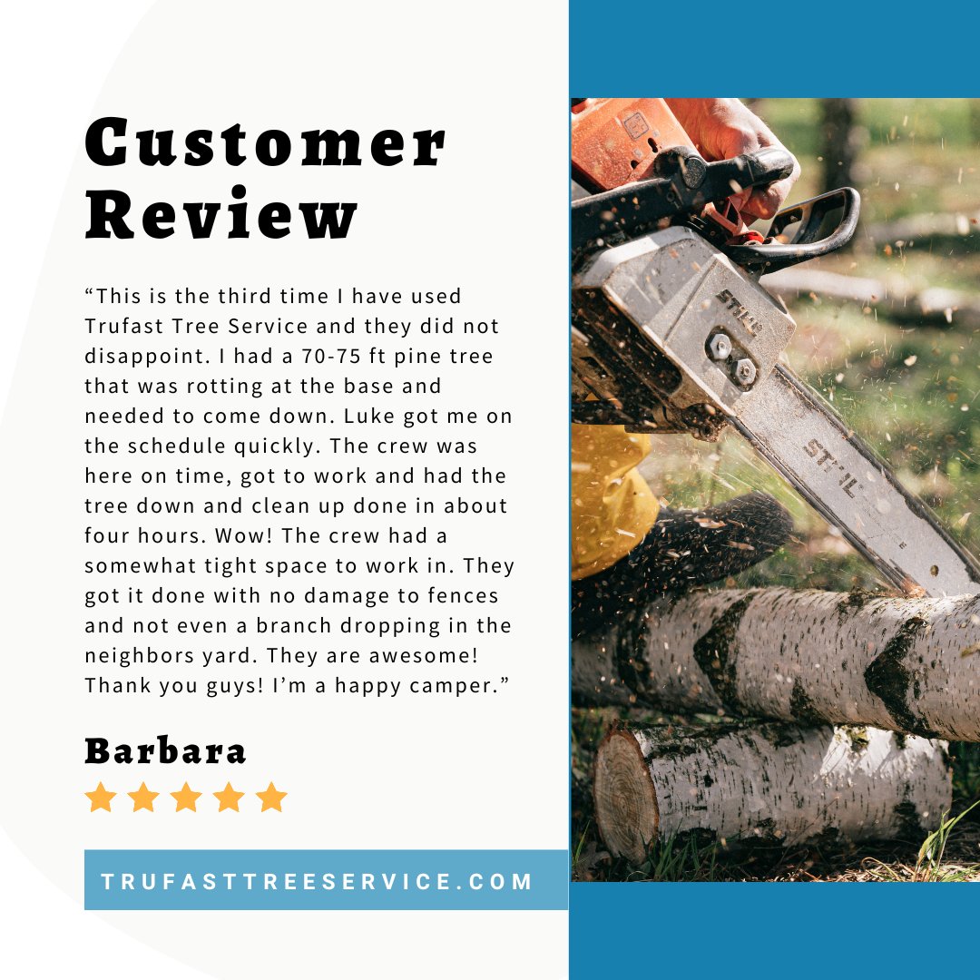 Barbara, thank you so much! It was a pleasure serving you. 🌳

#springfieldmo #417land #ozarkmo #nixamo #417smallbusiness #trufasttreeservice