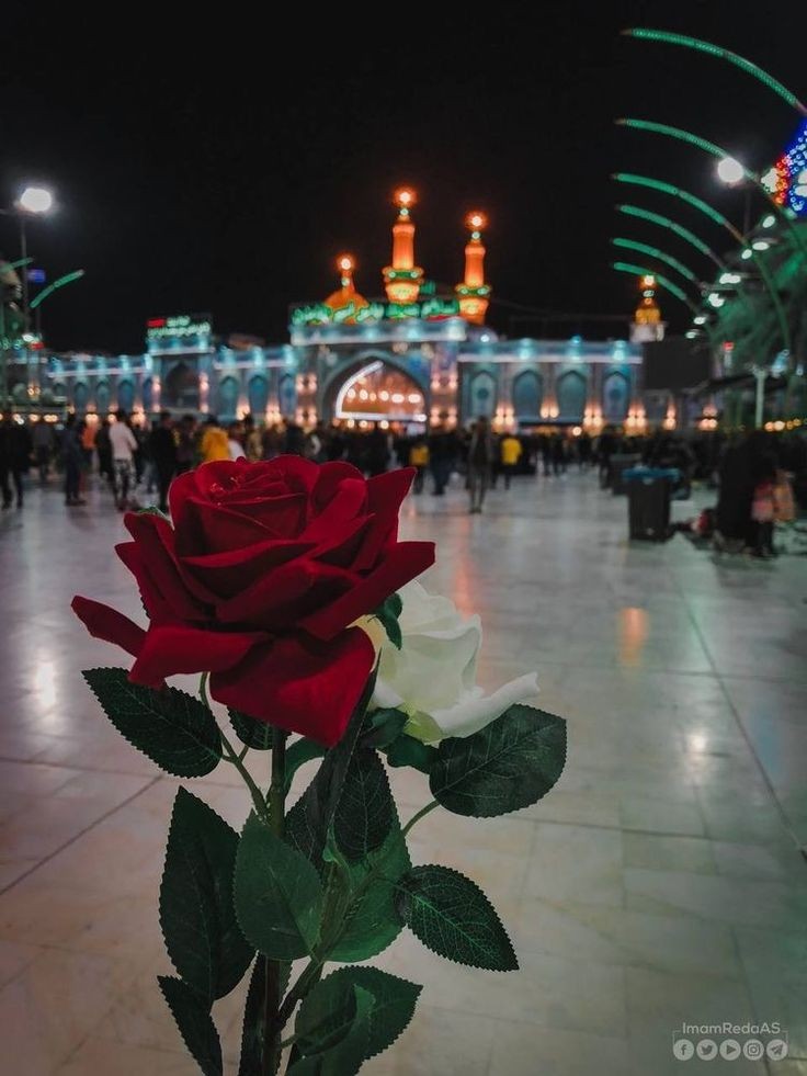 ✨💔O' wind take me to karbala with you 🪽✨