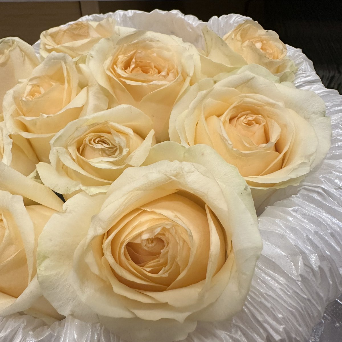 BeautyYoung_'s tweet photo. 🥰 https://t.co/4ke4Wasazu