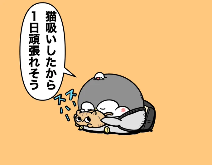 火曜日だけど