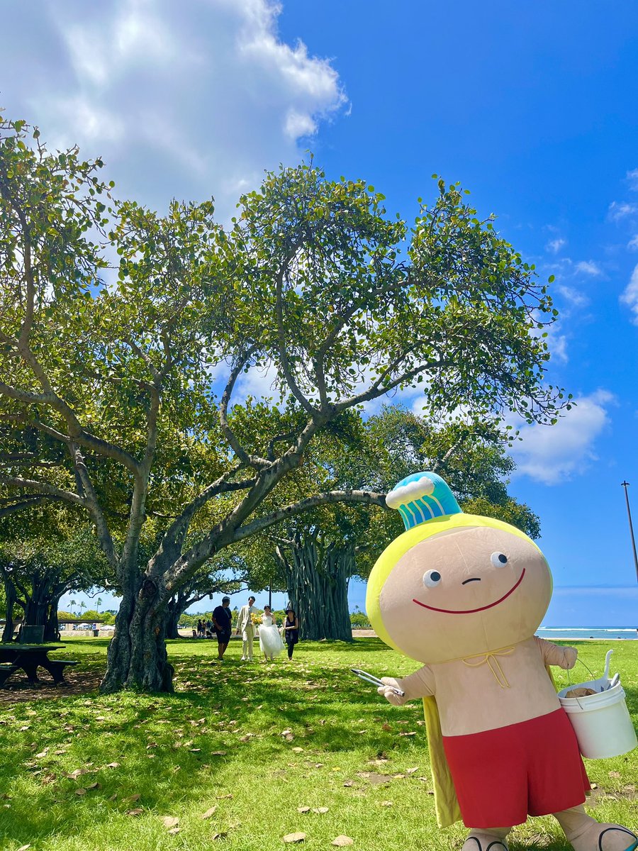 アロハー🌺
今日は #アラモアナビーチ で #カメカメクリーンナップ してきたカメ👍先週から続いてた雨も止んで、今日は朝から青空‼️ウェディングカップルさん達も素敵な笑顔だったカメ😆
「#ゴミはゴミ箱に」🗑️

今日もHave a Great Aloha Day!

#ハワイ #カメカメくん #Hawaii #KamekameKun