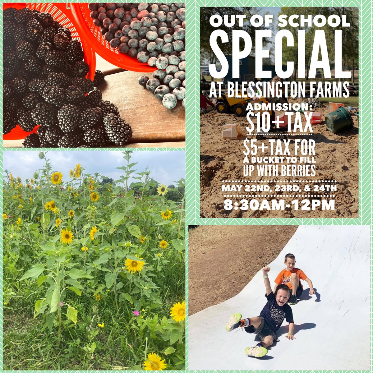 For just $10 per person Wednesday through Friday we are inviting our Farm Friends out to enjoy the farm &amp; for an additional $5 dollars you can purchase a bucket &amp; fill it up with berries.