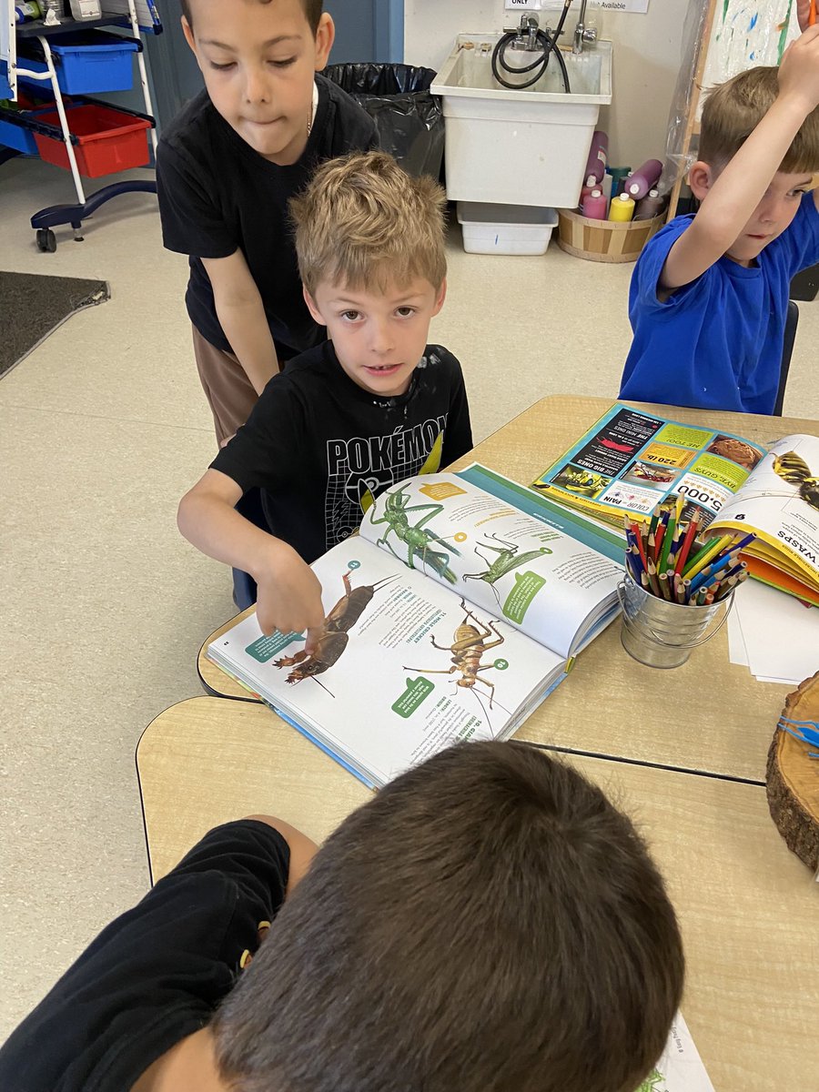 Exploring bugs and insects 🐜 🐛 🐞 <a href="/AVG_Griffins/">A.V. Graham</a>