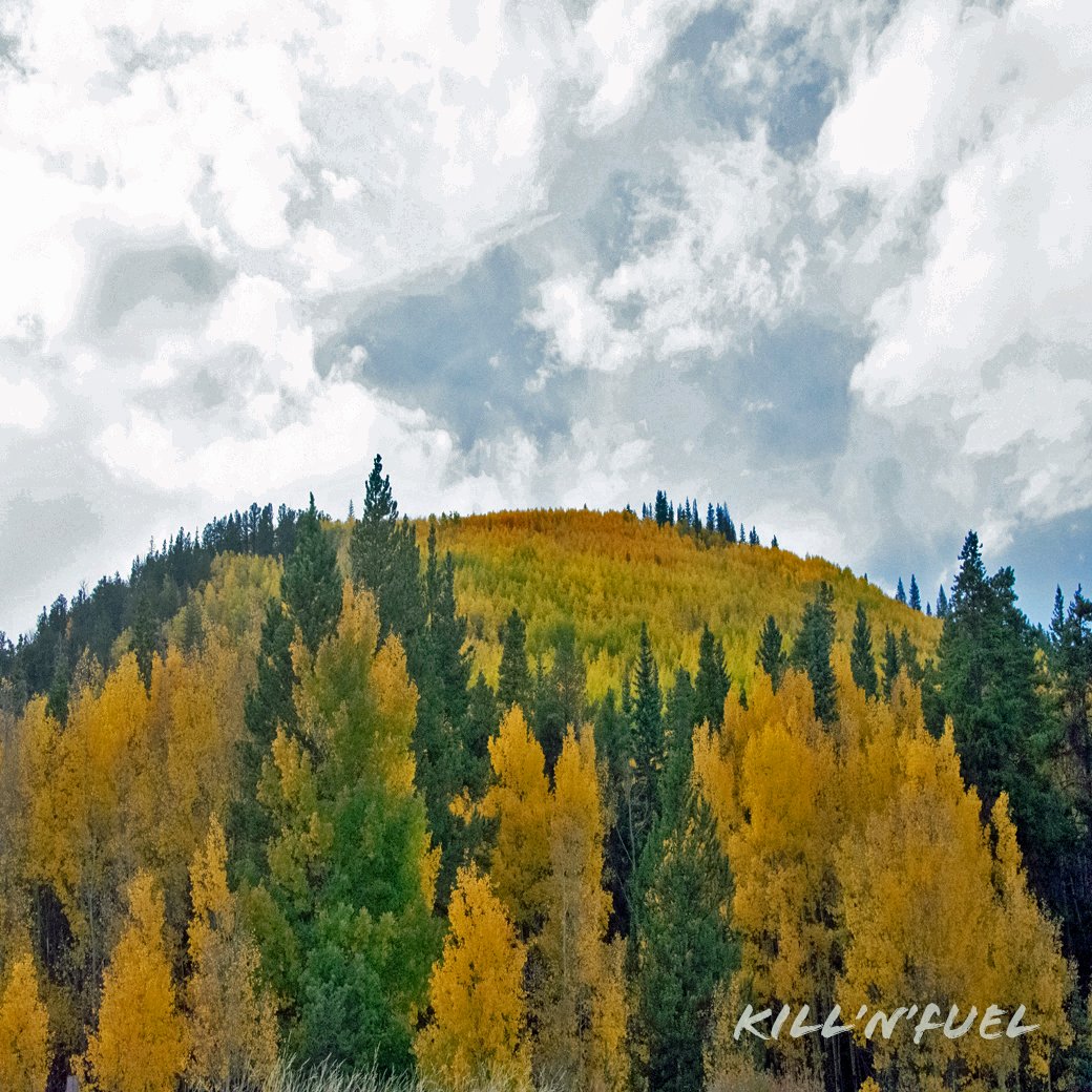 KillNFuel's tweet photo. Autumn in Colorado.
#fall #autumn #colorful #colorado #falllovers #trees #change #beautiful #loveit https://t.co/RvFPTP5TqA