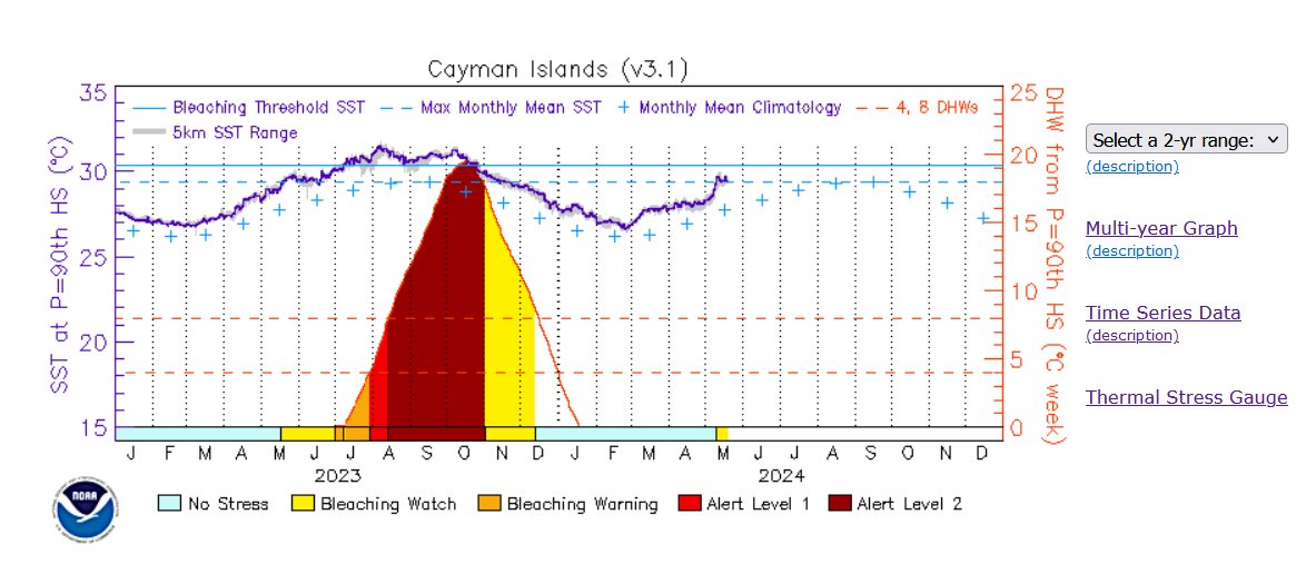 Back to Cayman after being away for 2 weeks. The sea felt very warm. Last years heatwave in Little killed over 50% of our corals. The sea is warmer than it was this time last year. This summer does not look good. #GlobalWarming #Bleaching #ClimateCatastrophe