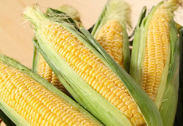 rassic_24's tweet photo. 美味しいトウモロコシを見分ける👀💡
4つのポイント🌽

▶️https://t.co/VCL7OHUrgL

鮮度を保つためにはすぐに茹でるといいですよ😋

私も子どもも大好きなので食べるのが楽しみです♪
屋台やBBQでの焼きトウモロコシも美味しいですよね✨

#トウモロコシ #とうもろこし #5月 #rassic https://t.co/SUyMQP1fEu