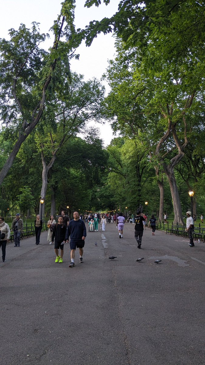 dmtrubman's tweet photo. We don't go to city parks to get away from other people, we go to city parks to get away from all the cars. https://t.co/gHjNh6FcZc