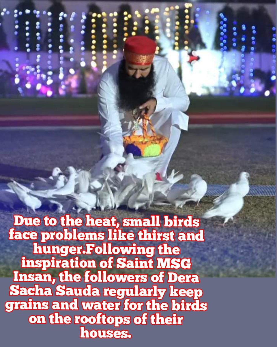 Birds die of hunger and thirst due to extreme heat, to help such creatures the followers of Dera Sacha Sauda arrange food grains and water on the roof and balcony of their house under Birds Nurturing initiative by Saint Ram Rahim Ji #HelpBirdsInSummers