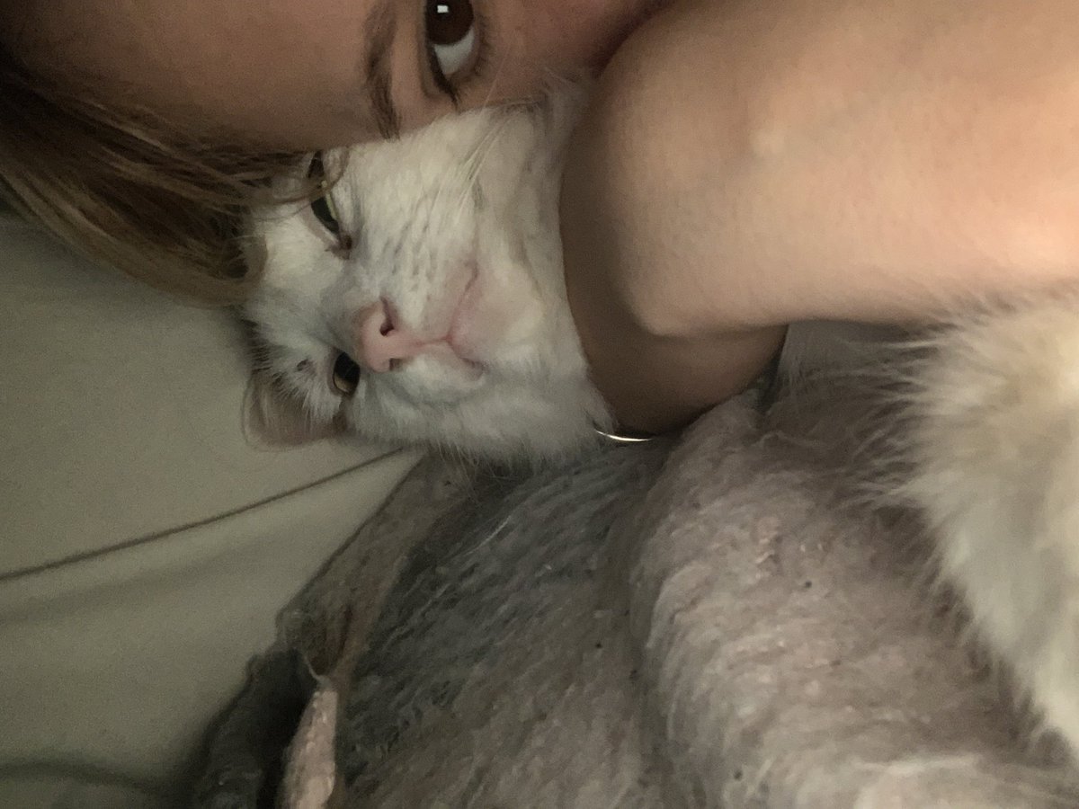 Care62040565's tweet photo. Somos yo y mi gato contra el fucking mundo https://t.co/VyfqMGDlDG