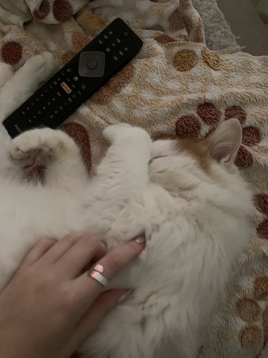 Care62040565's tweet photo. Somos yo y mi gato contra el fucking mundo https://t.co/VyfqMGDlDG